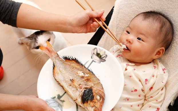 Bật bí cách cho trẻ ăn hải sản khoa học