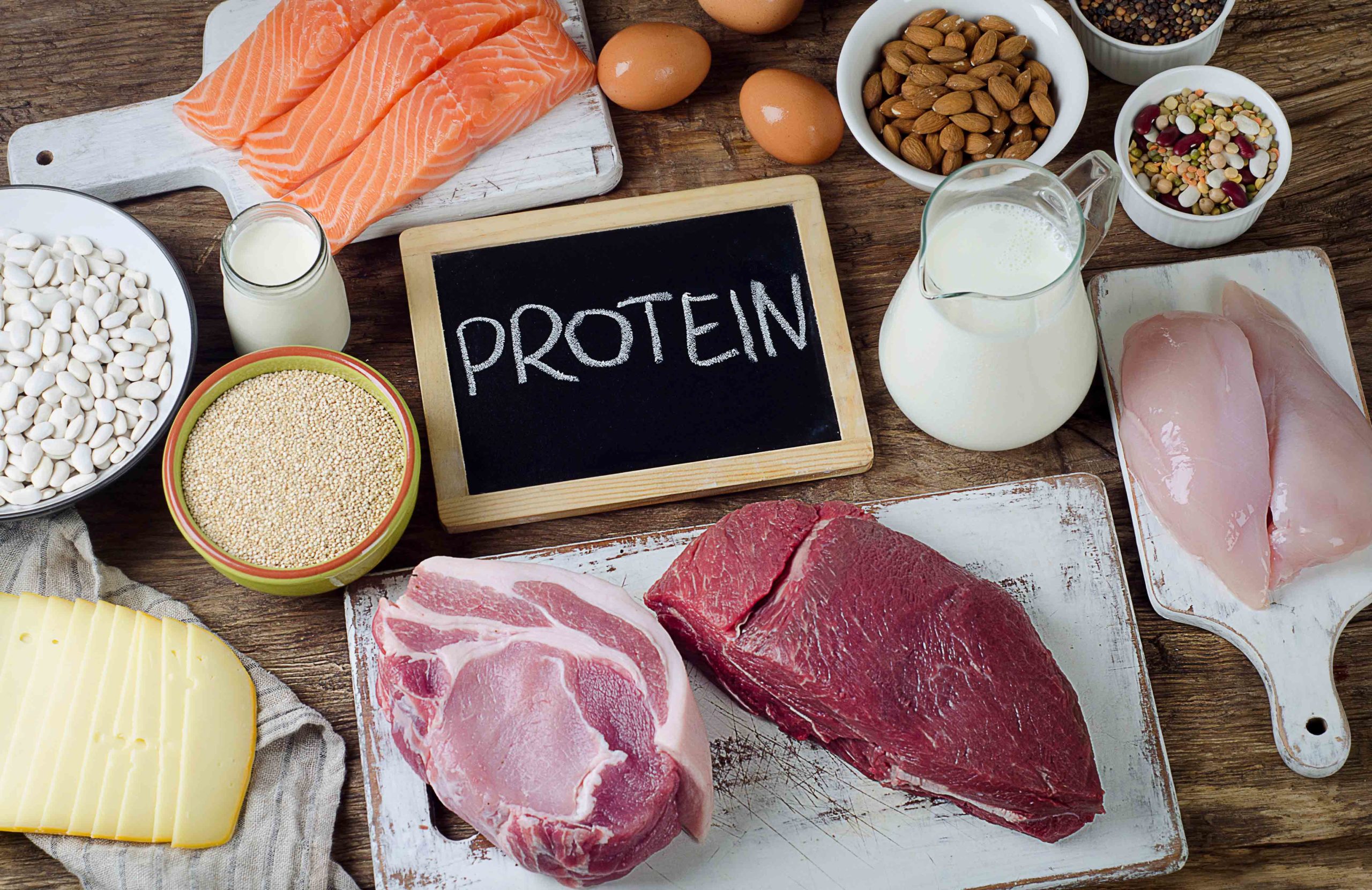 Protein -nền tảng cốt yếu cho cơ thể phát triển