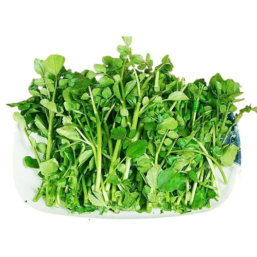 Rau cải xoong chứa 15 loại vitamin và khoáng chất