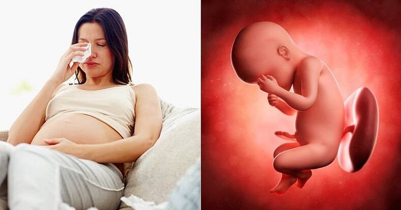 Hãy cùng đón xem những hình ảnh về tâm trạng thời kỳ thai nhi để cảm nhận sự trỗi dậy của sức sống trong bụng mẹ và hỗ trợ việc nuôi dưỡng thai nhi một cách tốt nhất nhé!