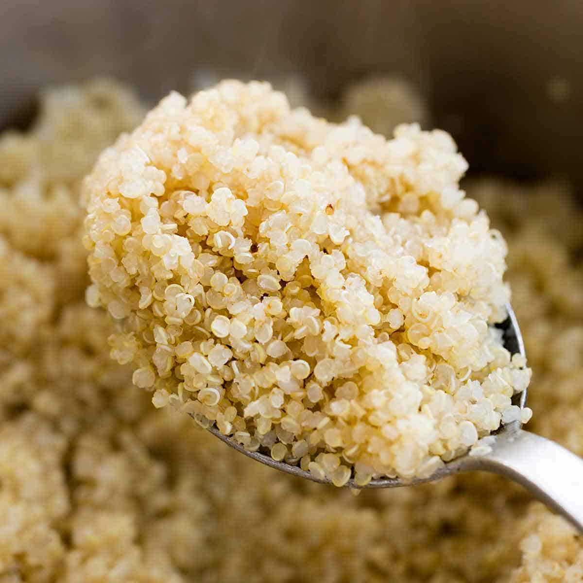 Quinoa cung cấp 20 axit amin mà cơ thể cần