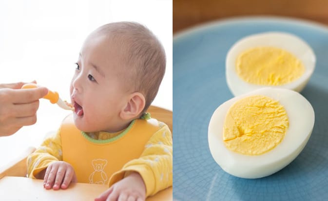 Nên cho trẻ ăn trứng như thế nào cho khoa học
