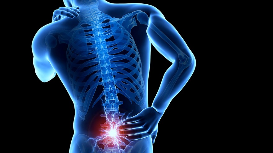 Nguyên nhân và cách xử lý chấn thương lưng khi tập gym an toàn, hiệu quả