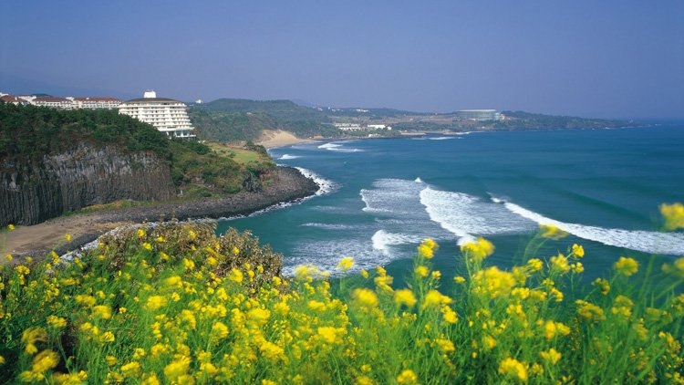 Hòn đảo Jeju xinh đẹp hấp dẫn khách du lịch