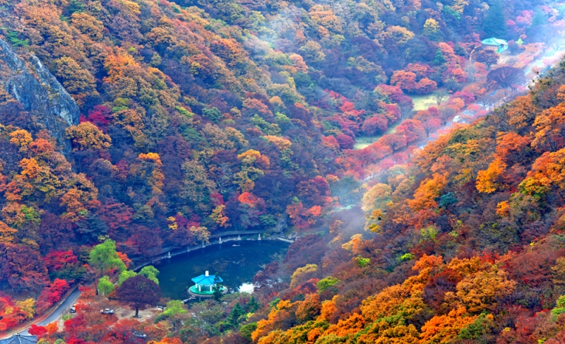 Thung lũng sâu và đẹp như mơ của núi Gyeryongsan